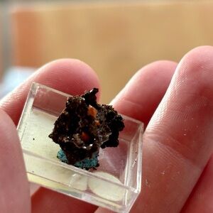 ✨ Wulfenite Thumbnail – Padre Kino Mine, Arizona ✨